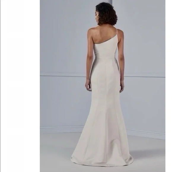 NEW Amsale Dress Cecilia Platinum Sleeveless - Picture 4 of 10